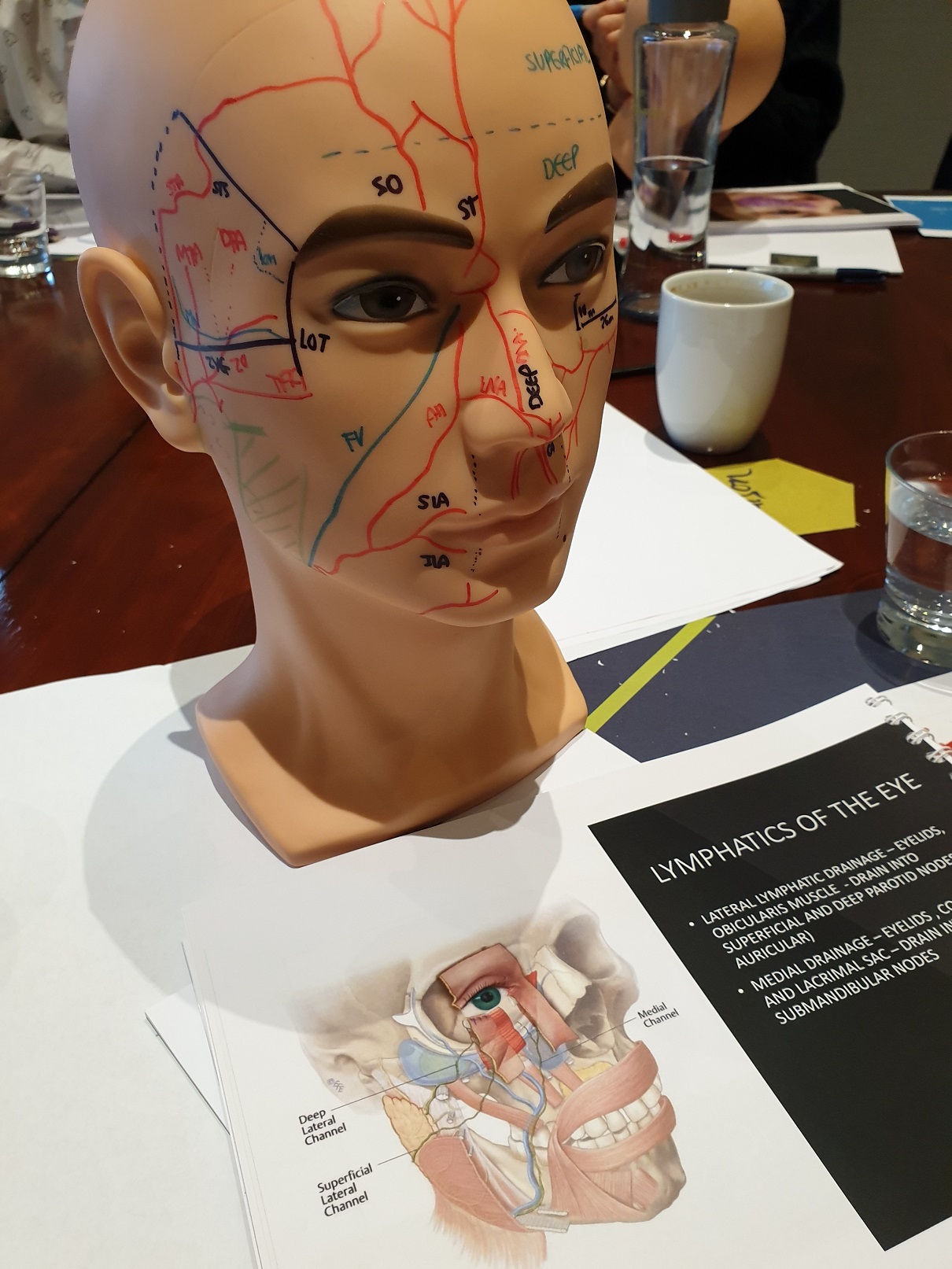 FACIAL AESTHETICS DERMAL FILLER DENTIST LEEDS